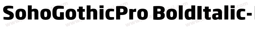 SohoGothicPro BoldItalic字体转换
